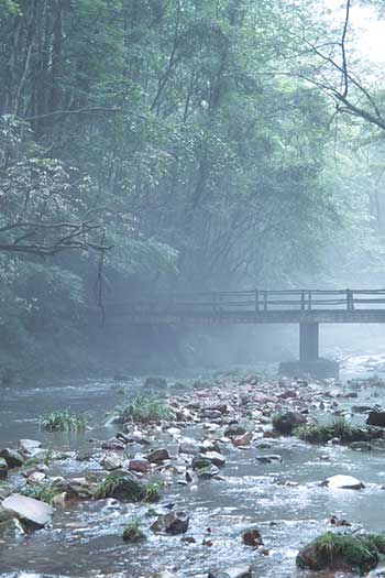 景區生態環（huán）境監（jiān）測站（zhàn）解決（jué）方案