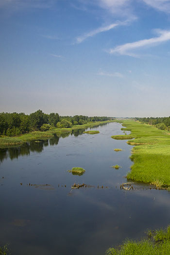濕地生態環境（jìng）監（jiān）測係統方案